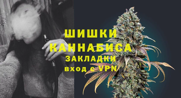 дурь Осинники