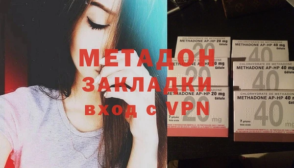 прущие грибы Тында